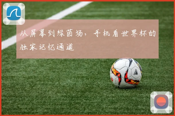 从屏幕到绿茵场，手机看世界杯的独家记忆通道