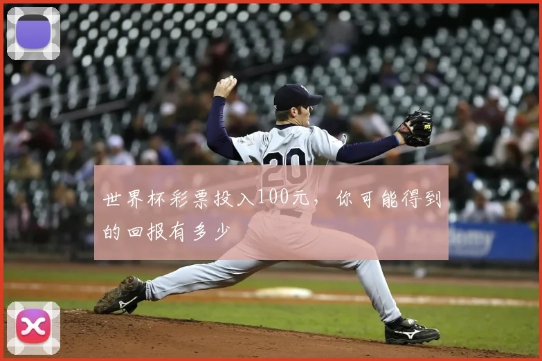 世界杯彩票投入100元，你可能得到的回报有多少
