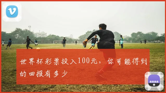 世界杯彩票投入100元，你可能得到的回报有多少