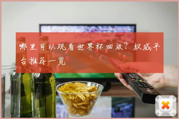 哪里可以观看世界杯回放?权威平台推荐一览