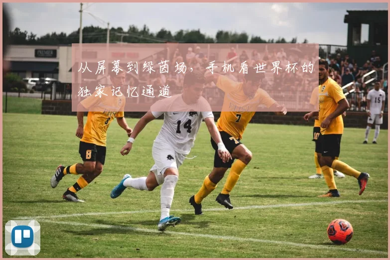 从屏幕到绿茵场，手机看世界杯的独家记忆通道