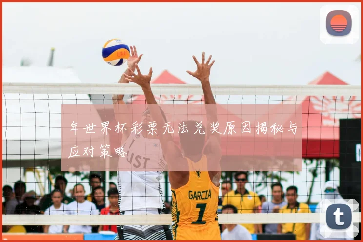 年世界杯彩票无法兑奖原因揭秘与应对策略