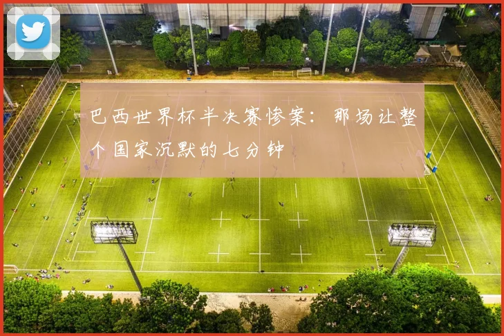 巴西世界杯半决赛惨案:那场让整个国家沉默的七分钟